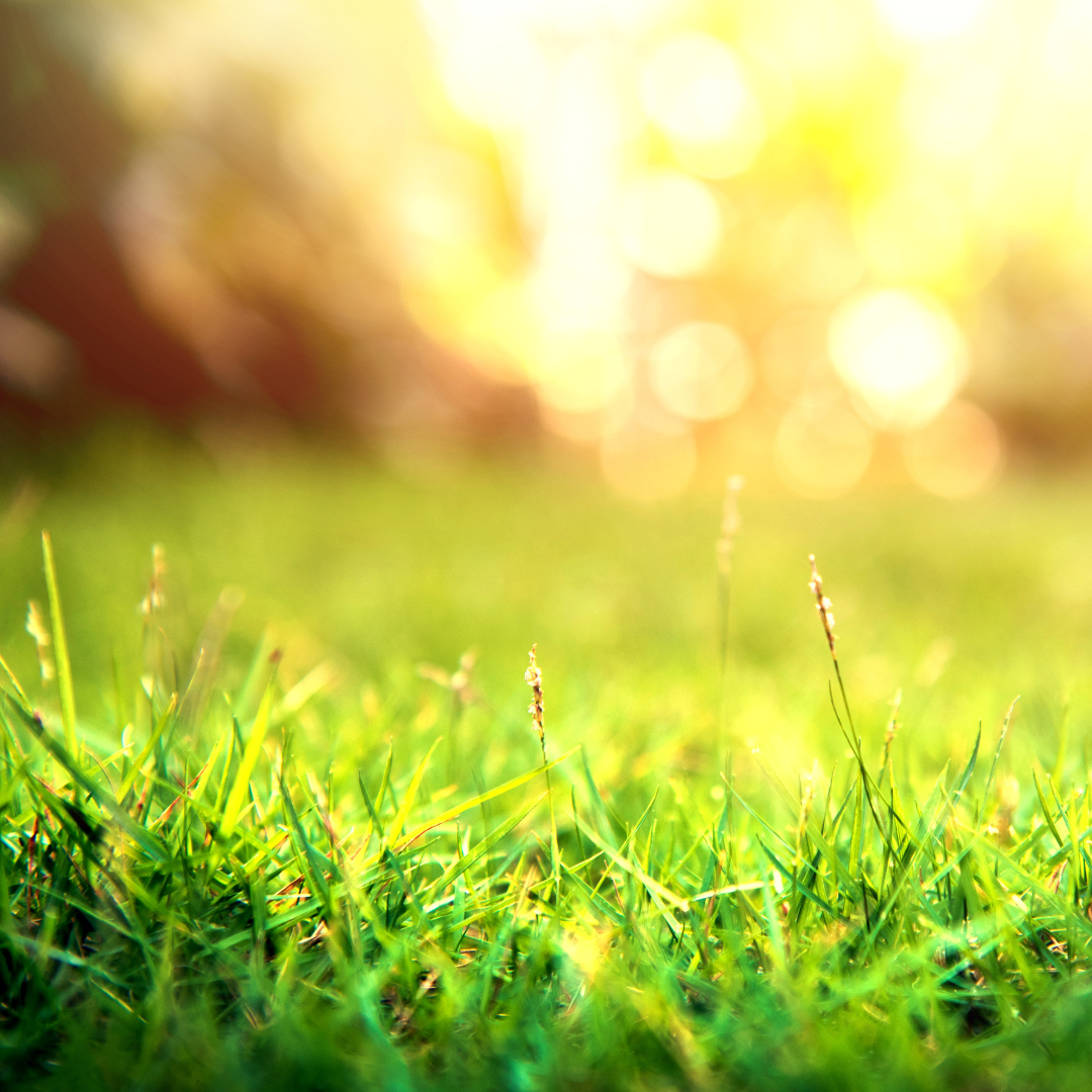 Reduce fatigue and boost your mood with Green 💚